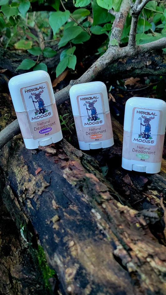 Herbal Moose Natural Deodorant. Orange clove, Lavender, or Tea Tree